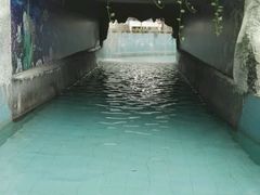 -龙脉温泉室内游泳馆