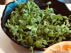 -东椰·海南椰子鸡火锅(朝阳门店)