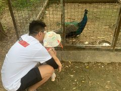 -意大利农场度假村