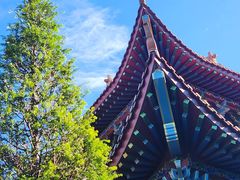 -大围山国家森林公园