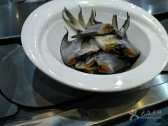 -咕叽咕叽自助烤肉小火锅(西城广场购物中心店)