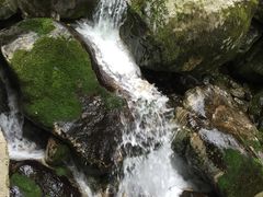 -牛背梁国家森林公园