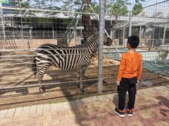 -迪茵湖田家舍生态农场