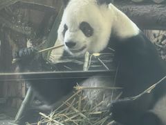 -泉州海丝野生动物世界