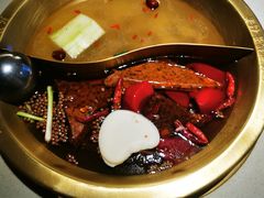 -矮冬瓜红茶火锅