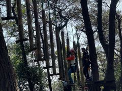 -芦仙山景区-飞越丛林探险乐园