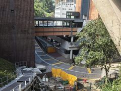 -香港大学