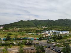 -美的鹭湖森林度假区