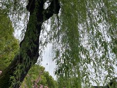 -绍兴古城