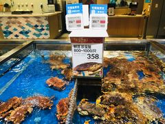 -盒马X会员店(王府井奥莱UP TOWN店)