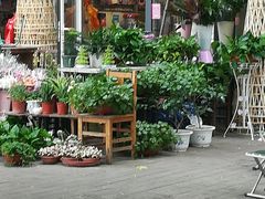 -宝鸡东道花鸟鱼虫市场(吉利花园商场店)