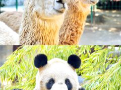 -杭州野生动物世界