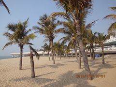 椰林树影-白城沙滩