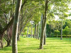 -福田红树林生态公园