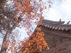 -妙峰山风景名胜区