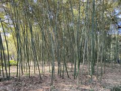 -兰亭风景区