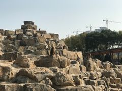 -太原动物园