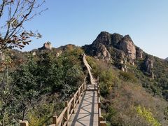 -大岭沟猕猴桃谷风景区