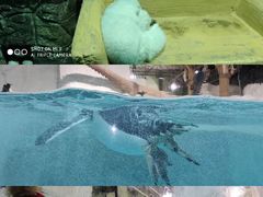 -大连圣亚海洋世界