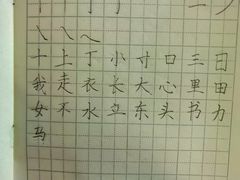 -赵汝飞练字(南京路国际贸易中心校区)