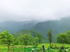 -独秀小吃(蓝田店)