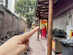 -鸿顺老铁锅美蛙鱼府(解放碑店)