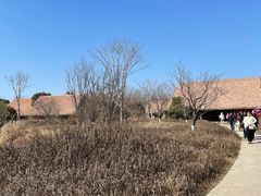 -良渚古城遗址公园