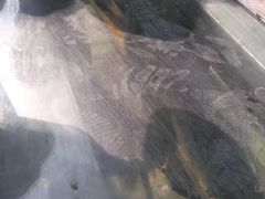 -泉州海丝野生动物世界