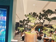 -金春禧(世茂国际广场店)