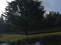-龙头寺公园