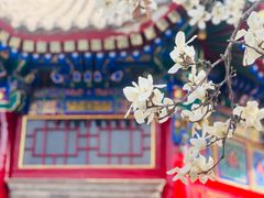 -西安市广仁寺