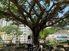 -九龙寨城公园