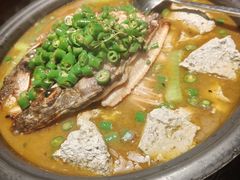 鲜青椒爽麻烤鱼-探鱼·鲜青椒爽麻烤鱼(领展购物广场店)
