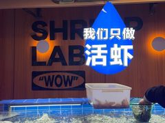 -0048鲜活香辣虾·火锅(铜陵路店)