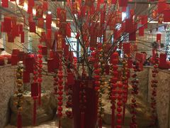 -常州环球恐龙城维景国际大酒店