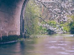 -紫燕百味鸡(同人店)