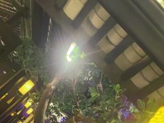 -绿茶餐厅(昆明世纪金源店)