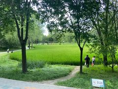 -北坞公园
