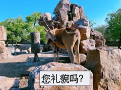 -上海野生动物园