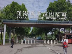 -洋湖国家湿地公园