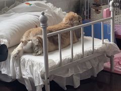 -雨林宠物医院 非犬猫异宠专科