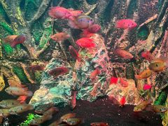 -多彩贵州城极地海洋世界