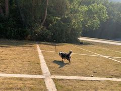 -孔雀湖生态旅游区