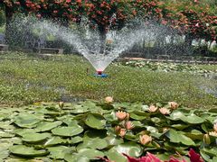 -同銮特种养殖场·龙虾垂钓