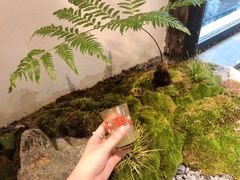 -Metal hands·铁手咖啡