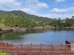-海南热带雨林国家公园吊罗山景区