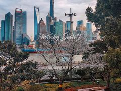 -北外滩滨江绿地