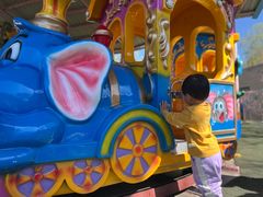 -朝阳公园游乐园