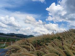 -光明小镇欢乐田园