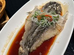 -玫瑰厅上海菜(兴国路店)